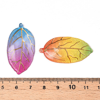 Printed Translucent Acrylic  Pendants OACR-T028-24-1