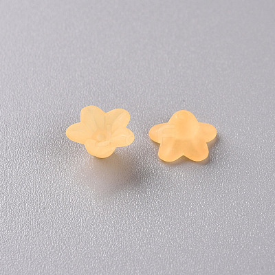 Transparent Acrylic Beads PL554-07-1