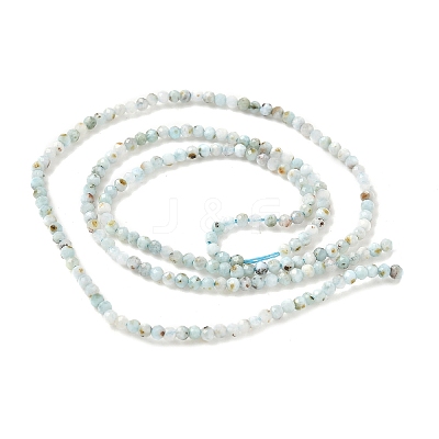 Natural Larimar Beads Strands G-L627-A01-2mm-1