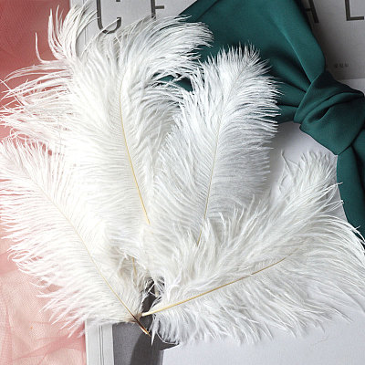 Bleached Ostrich Feather Ornament Accessories FEAT-PW0001-005A-1