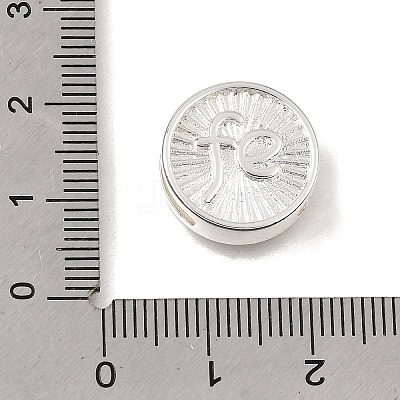 Brass Slide Charms KK-CBAEEA8-08A-S-1