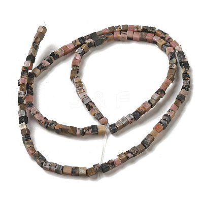 Natural Rhodonite Beads Strands G-B064-A31-1