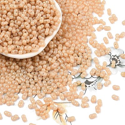 Baking Paint Glass Seed Beads SEED-L011-09A-15-1