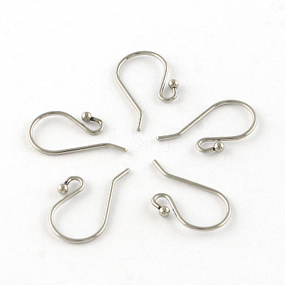 Tarnish Resistant 201 Stainless Steel Earring Hooks STAS-R063-33-1