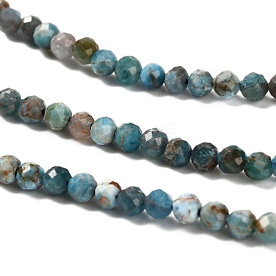 Natural Apatite Beads Strands LS-G-RM2025-36-3mm-1