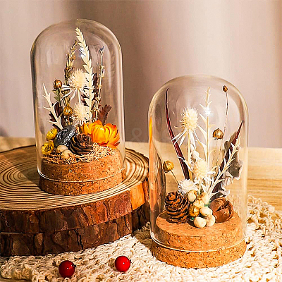10 set Glass Dome Cover AJEW-BC0003-54A-1