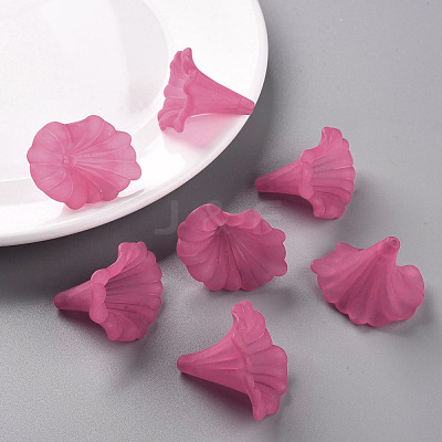 Transparent Acrylic Beads BSF796-C16-1