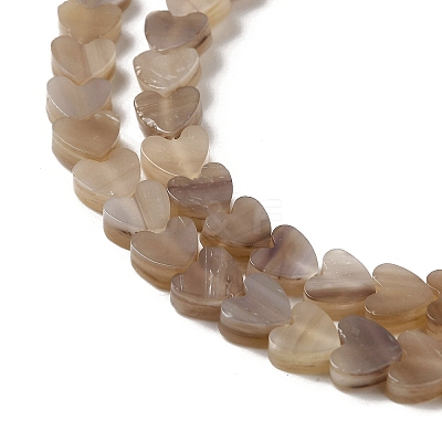 Handmade Lampwork Beads Strands LAMP-Q035-01O-1