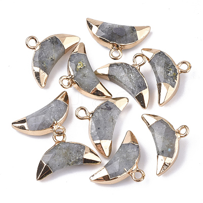 Electroplate Natural Labradorite Charms G-S344-48B-1