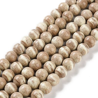 Natural Rainbow Alashan Agate Beads Strands G-NH0022-A10-02-1