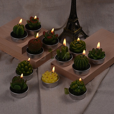 Cactus Paraffin Smokeless Candles DIY-G024-F-1
