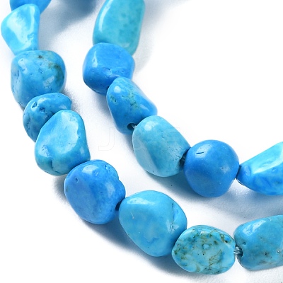 Natural Howlite Turquoise Beads Strands G-P497-01C-55-1