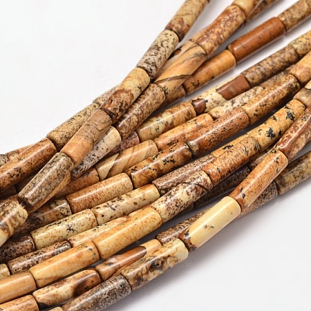 1 Strand Natural Picture Jasper Column Beads Strands G-PA0002-28-1