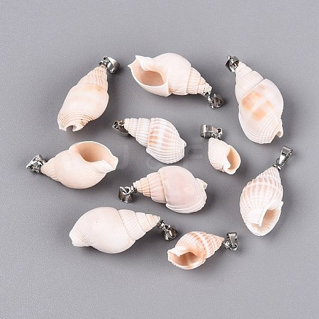 Brass & Natural Spiral Shell Pendants SHEL-Q029-18P-1