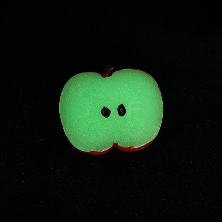 Luminous Resin Fruit Slice Display Decoration DJEW-B014-1