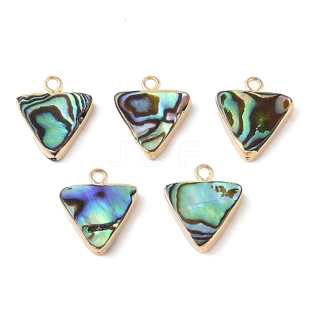 Natural Paua Shell Pendants SHEL-P017-20G-1