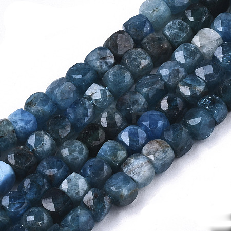 Natural Apatite Beads Strands G-N328-031-1