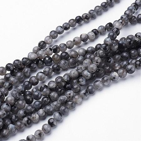 Natural Larvikite Beads Strands GSR4mmC128-1