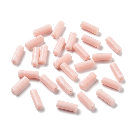 Opaque Acrylic Beads OACR-Q196-03J-1