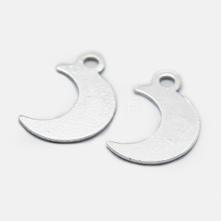 925 Sterling Silver Charms STER-I014-19S-1