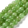 Dyed Natural Malaysia Jade Beads Strands G-G021-02B-04-2