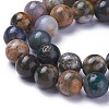 Natural Ocean Agate/Ocean Jasper Beads Strands G-G772-03-C-1
