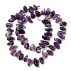 Natural Amethyst Beads Strands G-Z091-A13-3