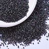 MIYUKI Delica Beads SEED-MY11-DB1001-1