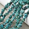 Natural HuBei Turquoise Bead Strands G-H345-A01-01-1