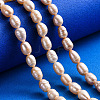 Natural Cultured Freshwater Pearl Beads Strands PEAR-N012-07G-5