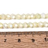 Anti-Tarnish Electroplate Bicone Glass Beads Strands EGLA-T021-4mm-16-14-2