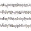 Natural Labradorite Bead Strands G-GL0001-03-1