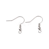 Tarnish Resistant 316 Surgical Stainless Steel Earring Hooks X-STAS-M288-06P-B-1