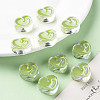 Transparent Enamel Acrylic Beads TACR-S155-004D-6