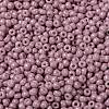 MIYUKI Round Rocailles Beads X-SEED-G008-RR0599-3