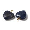 Natural Sodalite Pendants G-E603-01G-01-2