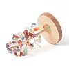 Natural Gemstone Chips with Brass Wrapped Wire Money Tree on Wood Base Display Decorations DJEW-B007-05A-2