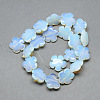 Opalite Bead Strands G-T003-16mm-17-2