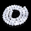 Dyed Natural Selenite Beads Strands G-T138-234A-2