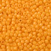 TOHO 11/0 Round Beads SEED-XTR11-0148F-2