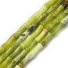 Natural Xiuyan Jade Beads Strands G-L624-G05-12x5mm-2