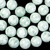 Natural Glass Beads Strands G-I247-31H-2