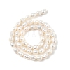 Natural Cultured Freshwater Pearl Beads Strands PEAR-I007-01B-06B-3