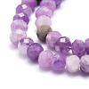Natural Lepidolite Beads  Strands G-E569-I22-3