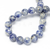 Natural Blue Spot Jasper Bead Strands G-R193-15-10mm-2