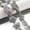 Natural Labradorite Beads Strands G-F769-P01-01-2