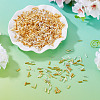 3300Pcs 3 Colors Plated Glass Bugle Beads SEED-TA0001-56-5