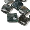 Natural Moss Agate Beads Strands G-L239-16-4