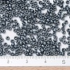 MIYUKI Round Rocailles Beads SEED-G007-RR0451-4
