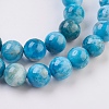 Natural Apatite Beads Strands G-F568-020-10mm-3